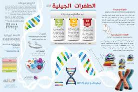 أنواع الطفرات الوراثية م.م زهراء سامي