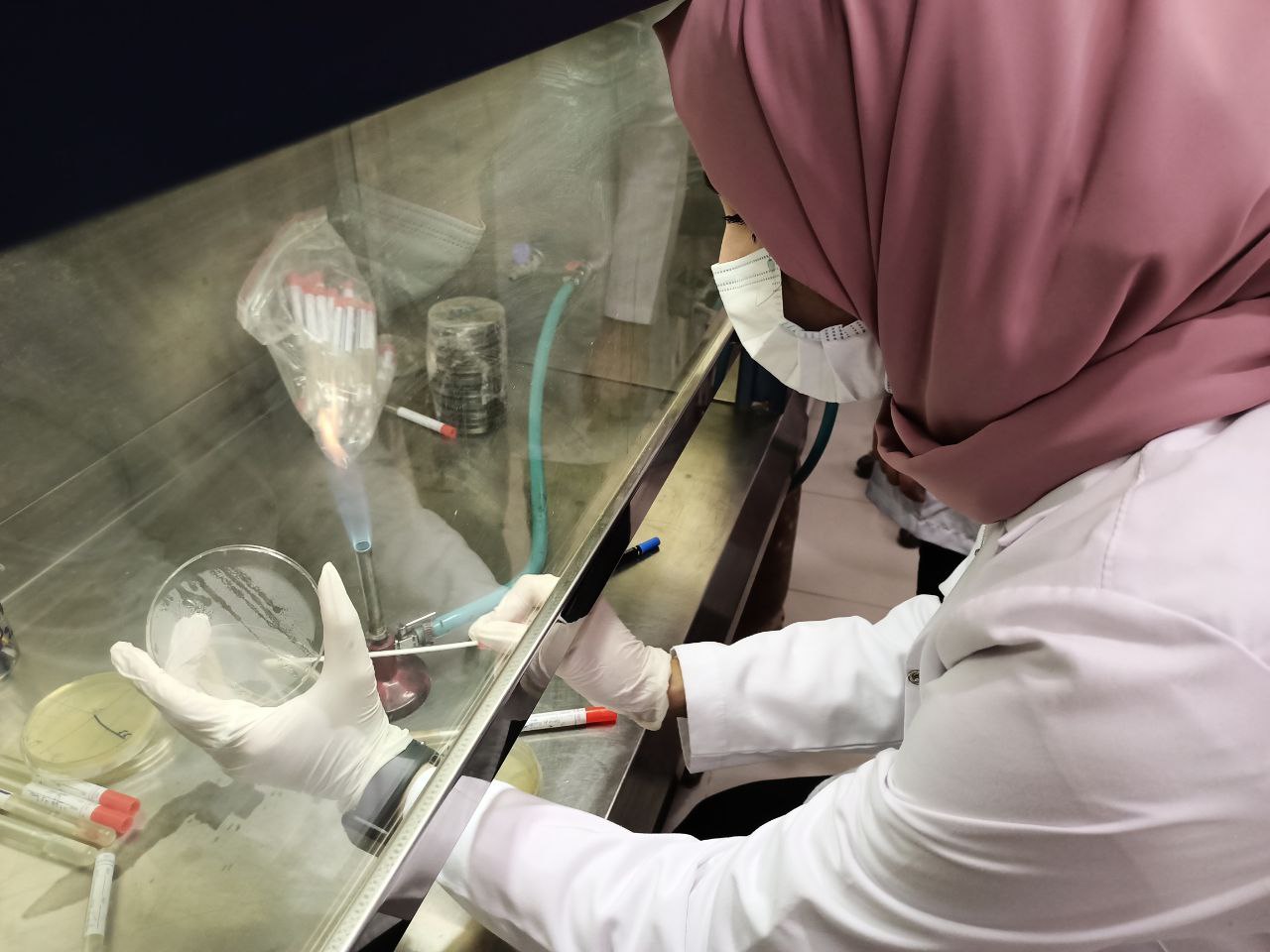 قسم تقنيات المختبرات الطبية يقيم ورشة تدربيه عن عزل وتشخيص البكتريا المسببة  الالتهاب الأذن واختبار حساسيتها اتجاه المضادات الحيوية 