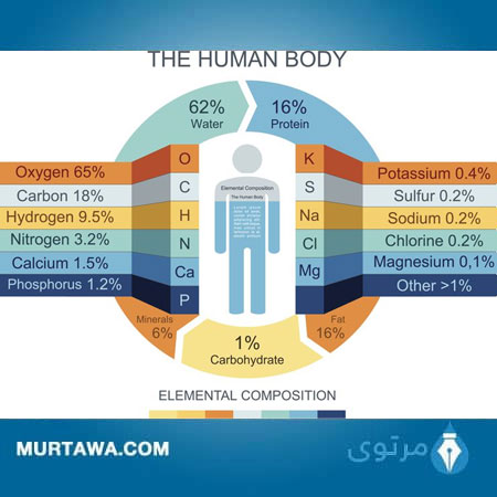 تاثير العناصر الكيميائية على جسم الانسان مقاله علميه للتدريسيه ايمان احمد عبد المنعم ..