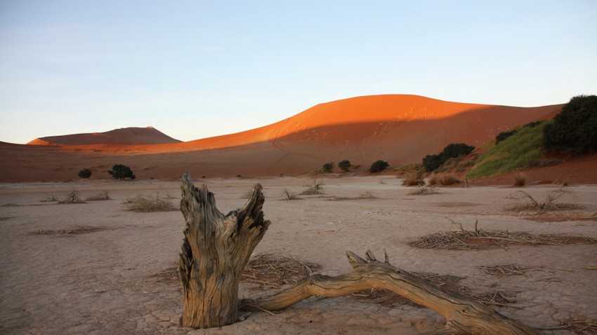 مكافحة التصحر مقاله علميه للتدريسيه م.م هبه باسم عباس