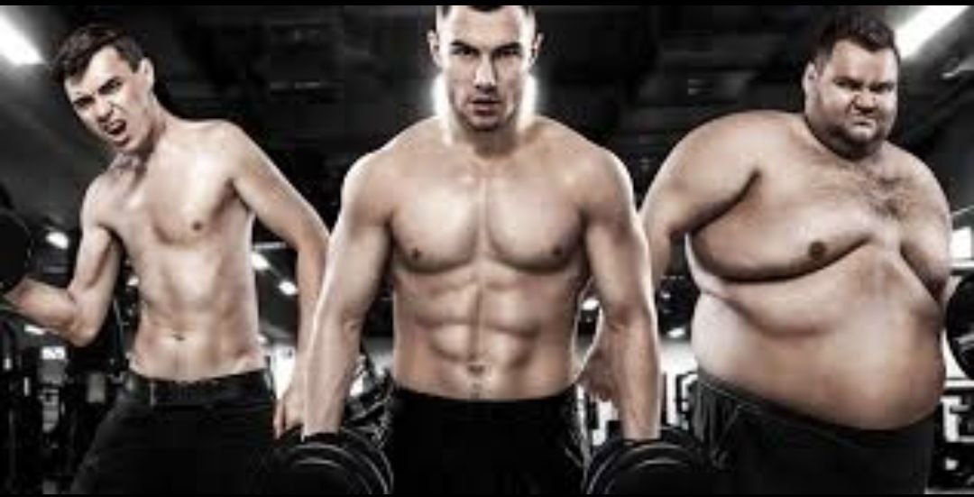 Scientific article Dr. Walid Khaled Abdel Hadi