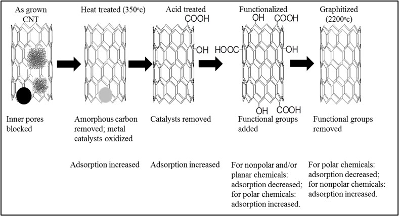 The Adsorption of Organic Compounds by Carbon Nanotubes