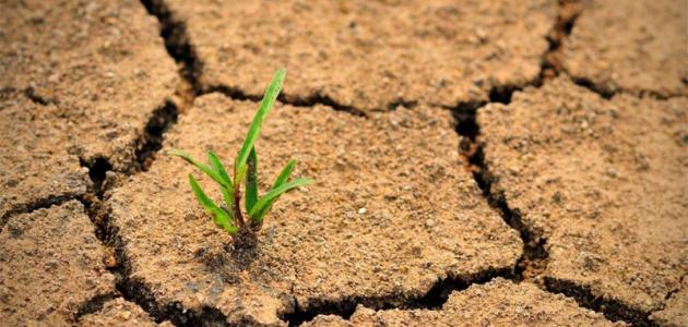 مقالة بعنوان "الحاضنه القانونيه للتنوع البيولوجي ووقاية النبات ومكافحه التصحر" للتدريسي م.د ثامر رمضان امين