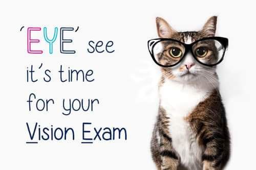 مقالة للتدريسية في قسم تقنيات البصريات م.م  ضي علي صبر بعنوان (فحص البصر لدى الحيوانات) 