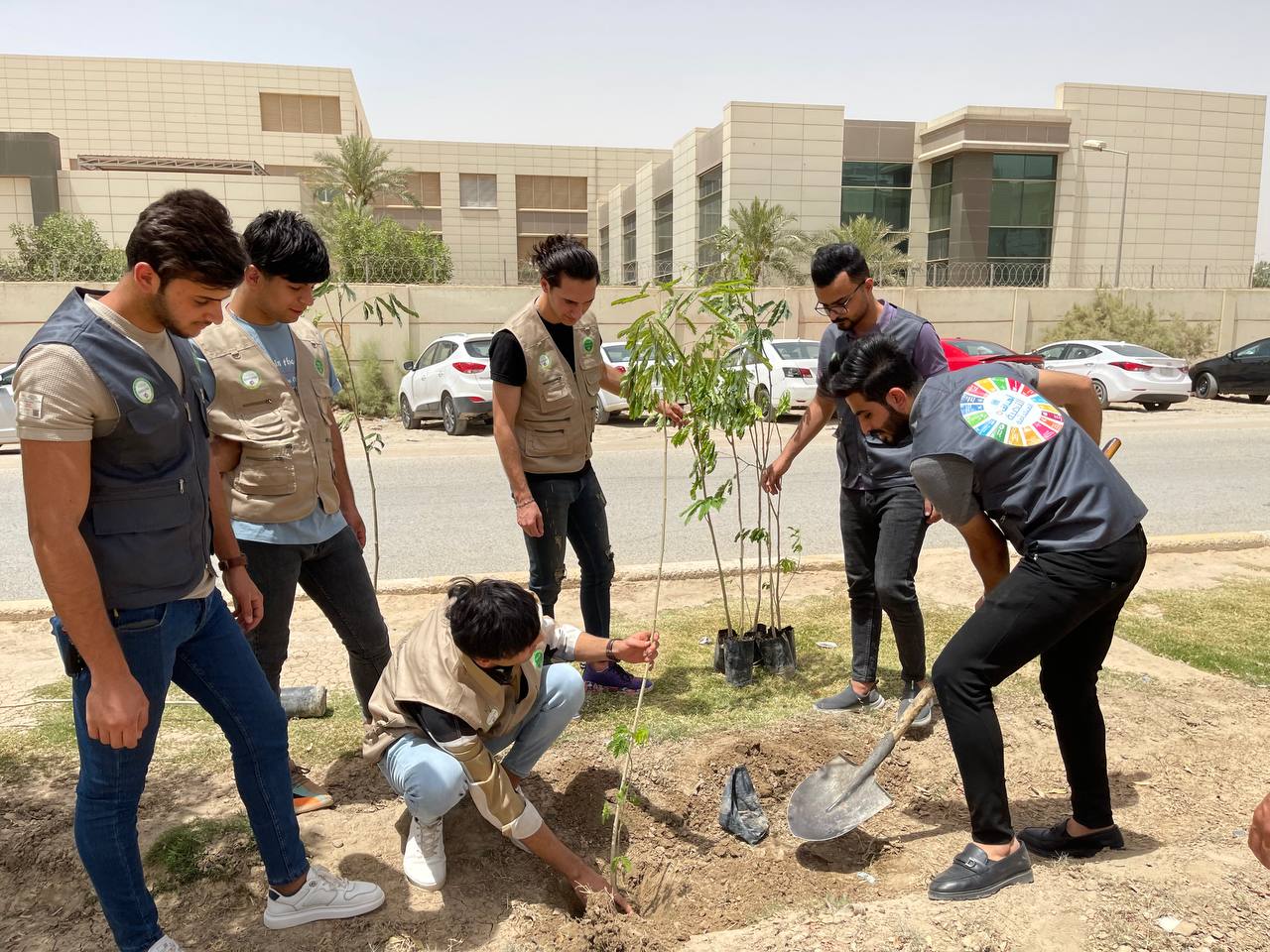 حملة تشجير في مدينة الحلة شارع 80 