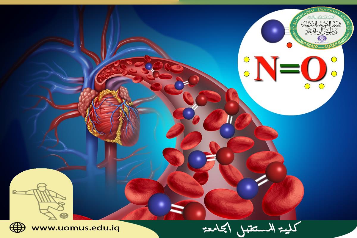  article by Asst.L Hayder Nazar Jawoosh, entitled Nitric Oxide in Physiology