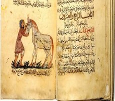 الشعر السياسي في العصر الاموي