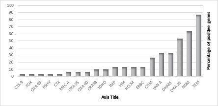 Molecular characterization and microbial resistance of different bacterial isolates in some dairy products
