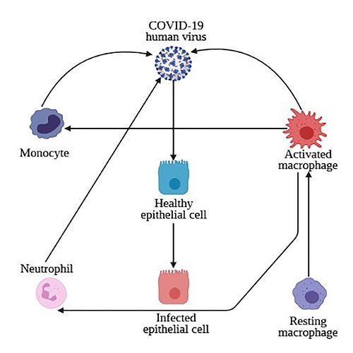 Responses to in Fectious Agents