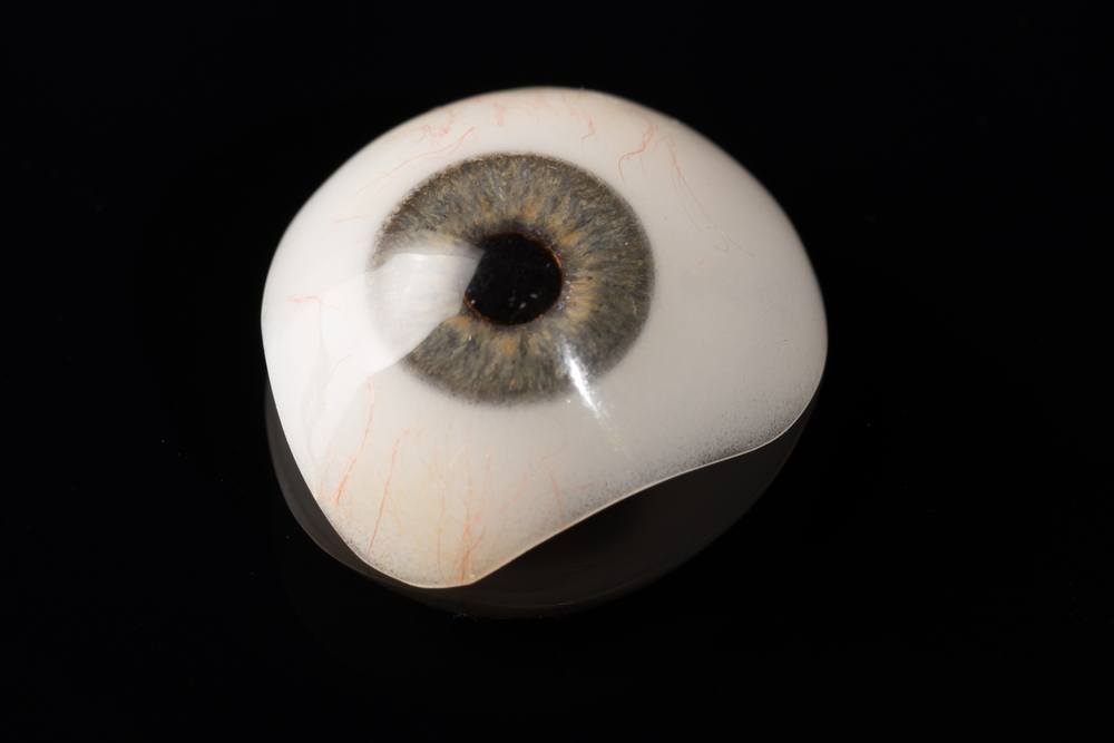 A scientific article by the department rapporteur A.L. Muhaimin Samir Aref entitled (The Industrial Eye)