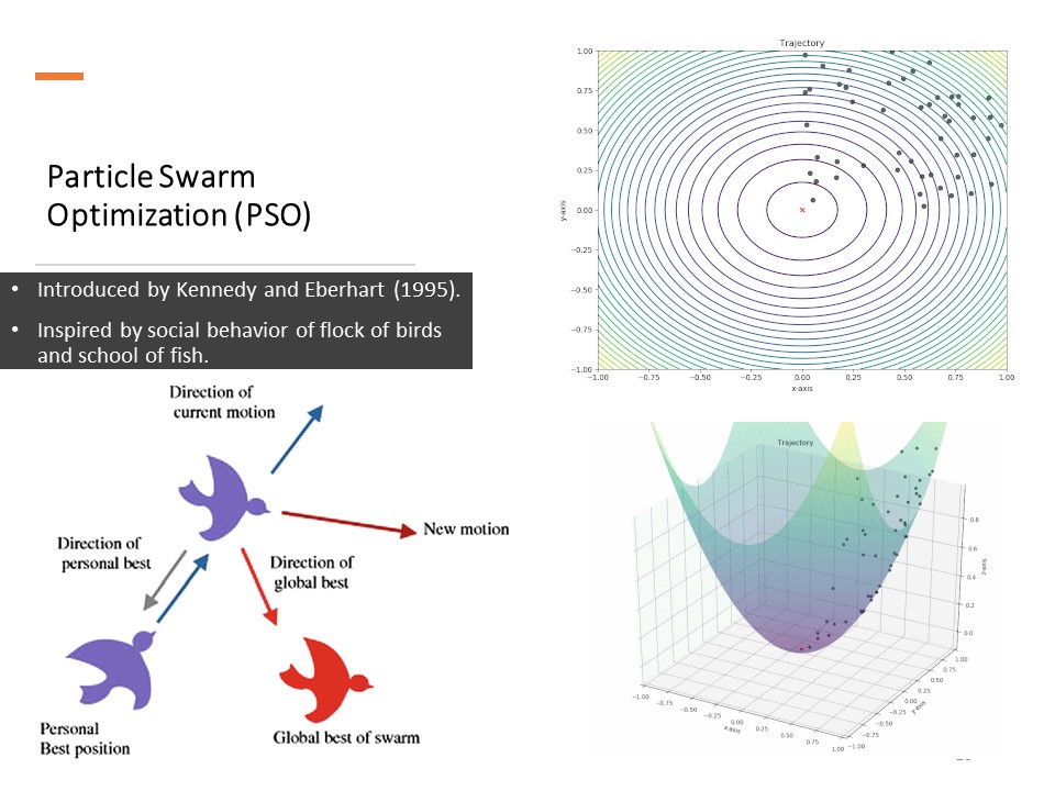 Swarm Intelligence Optimization Algorithms