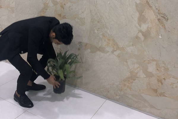 مبادرة طلبة المرحلة الاولى بتزيين القسم بالنباتات الظلية 