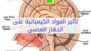 تأثيرالمواد الكيميائية على النمو العصبي لدى الأطفال