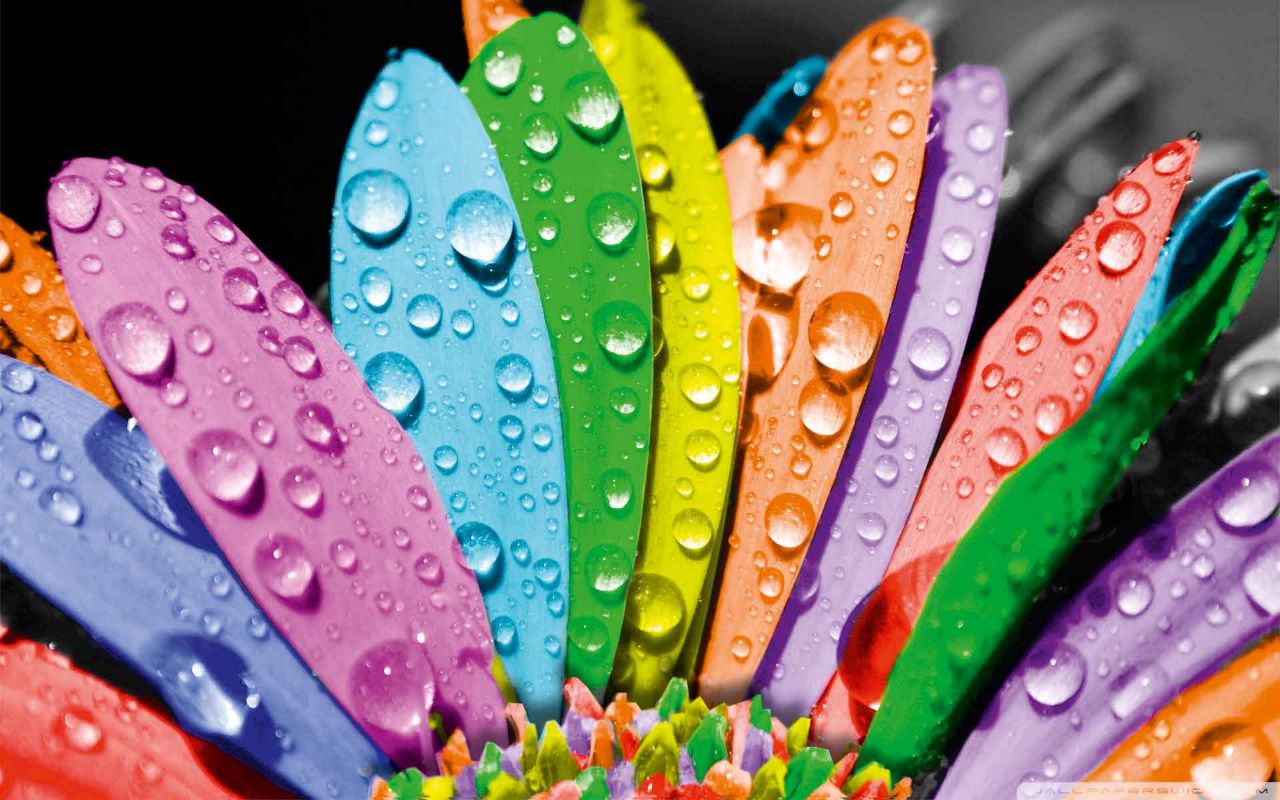 اللون سيمياء الإنسان