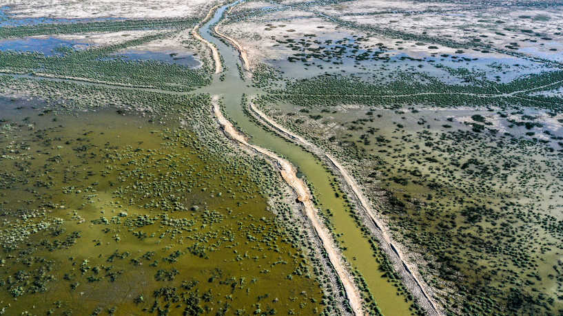 التصحر في العراق