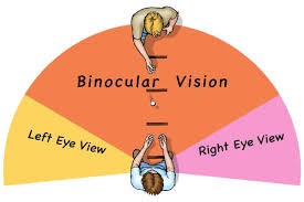 A scientific article for A.L. Marrwan Hisham Mohammed entitled (The 5 Most Frequent Binocular Vision Problems)
