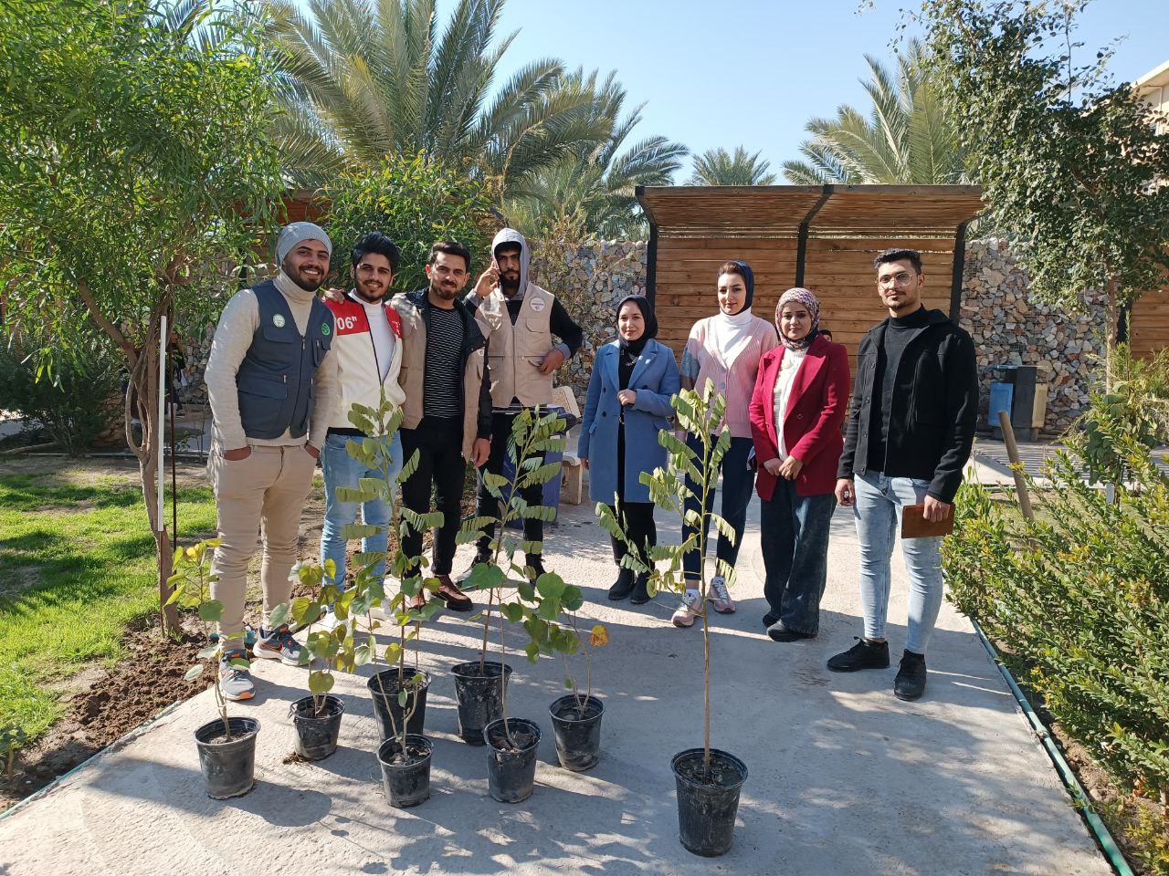 زراعة مجموعة من الأشجار دائمة الخضرة في حدائق كلية المستقبل