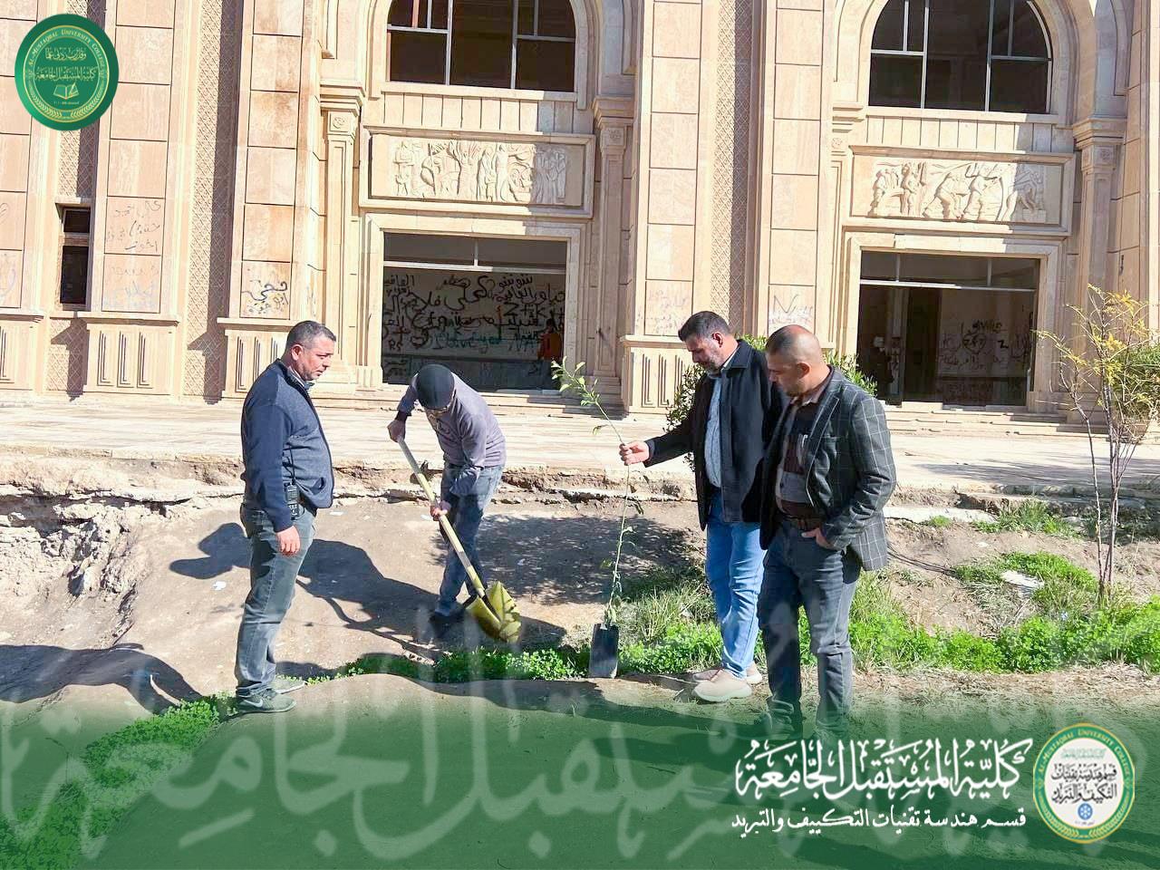 حملة تشجير باشجار دائمة الخضرة في مدينة بابل الاثرية