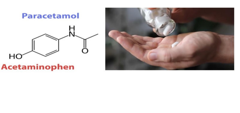 مقالة علمية للدكتورة هنادي هادي بعنوان Paracetamol Poisoning