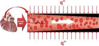ورشة بعنوان  "تحليل خصائص انتقال الحرارة وتدفق الدم عبر الشريان بأقطار مختلفة" 