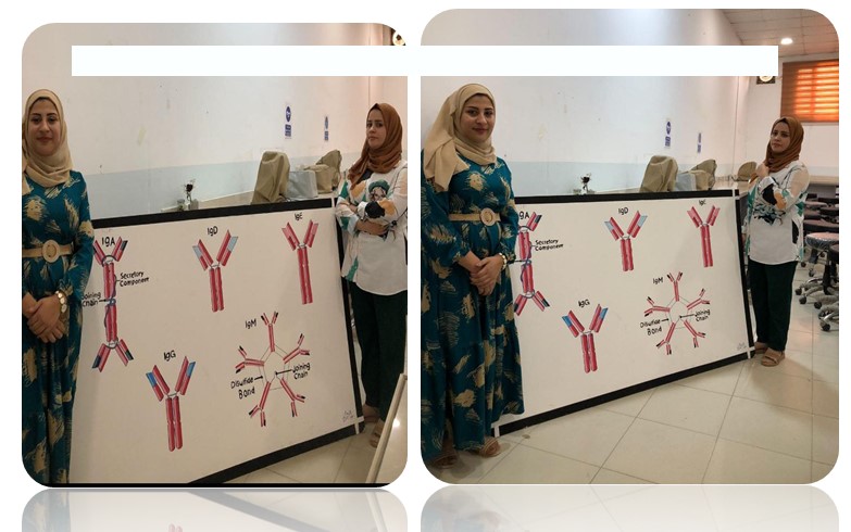 طلبة قسم تقنيات المختبرات الطبية في كلية التقنيات الصحية والطبية يقومون بنشاط يتضمن بوستر تعليمي لمختبر المناعة المرحلة الثالثة