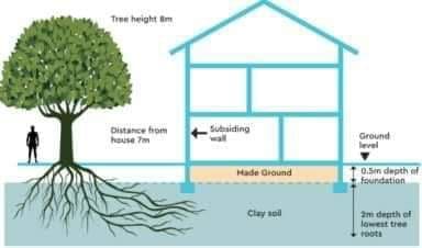 الهبوط في الاساسات