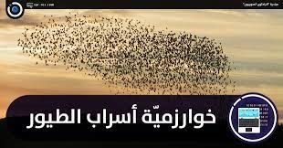 حلقة نقاشية بعنوان "خوارزمية الطيور وتطبيقاتها"