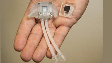 حلقة نقاشية بعنوان "الكلية و البديل الصناعي"