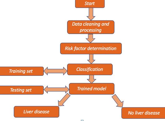 DIAGNOSIS OF LIVER DISEASE USING AN ARTIFICIAL NEURAL NETWORK BY ENG.TABARK AHMED IMRAN