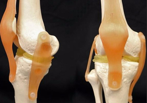 حلقة نقاشية بعنوان "3D Printed Graphene-Based Nanocomposites Mimicking Articular Cartilage Properties"