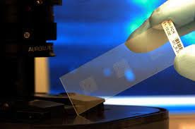 حلقة نقاشية "الرقاقة الحيوية biochip"