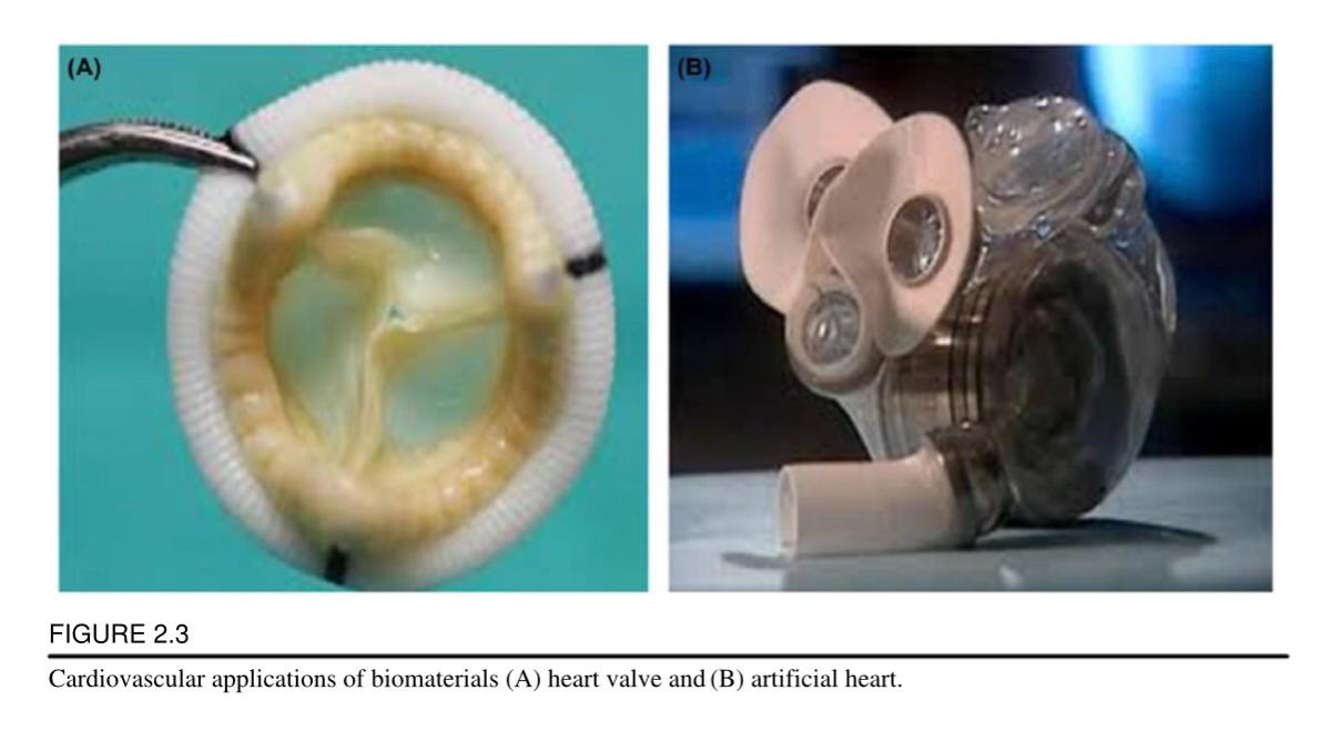 ندوة الكترونية"(تطبيقات القلب والأوعية الدموية )"