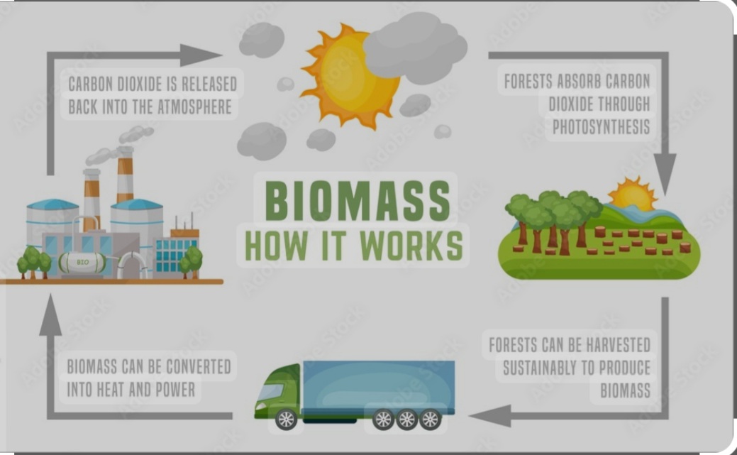 Energy of Biomass 