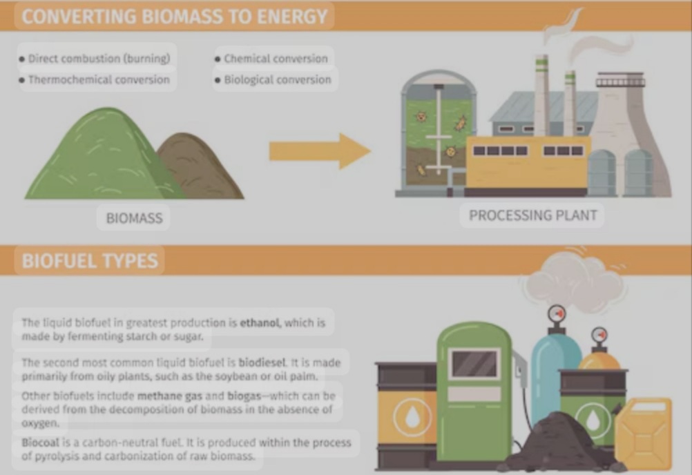 Biomass is the new clean and renewable energy source 