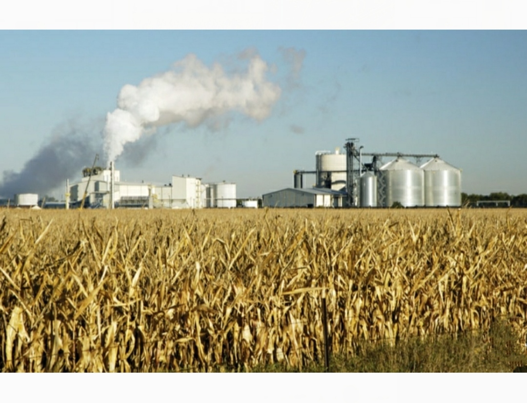 الوقود الحيوي: فرص وتحديات