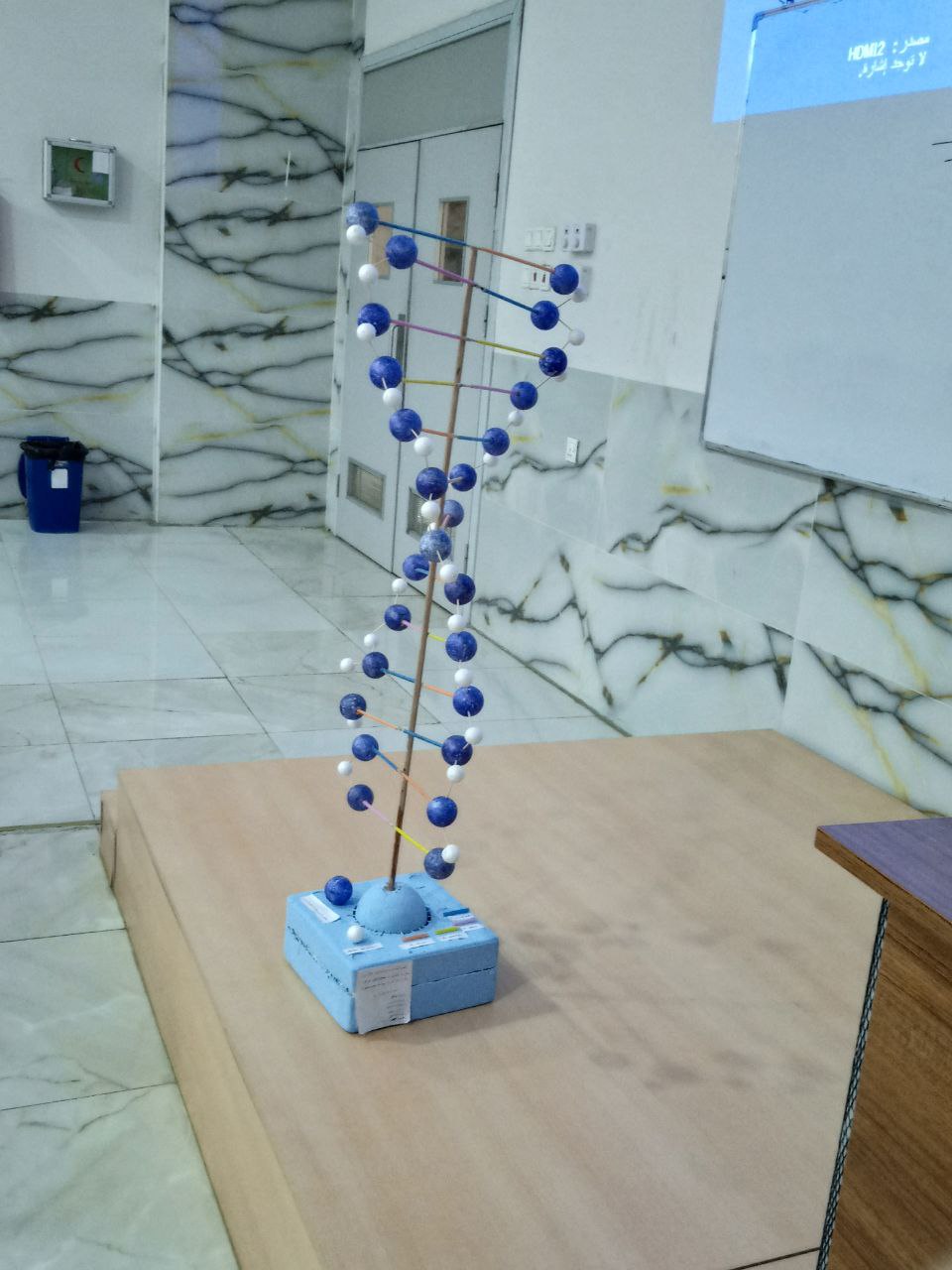 نشاط طالبات المرحلة الثانية / قسم التقنيات الاحيائية الطبية " حول تركيب (DNA )  " ..