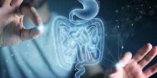 مقالة للتدريسية ( م.م. رشا فجر كزار ) بعنوان "" الجهاز الهضمي للانسان ""