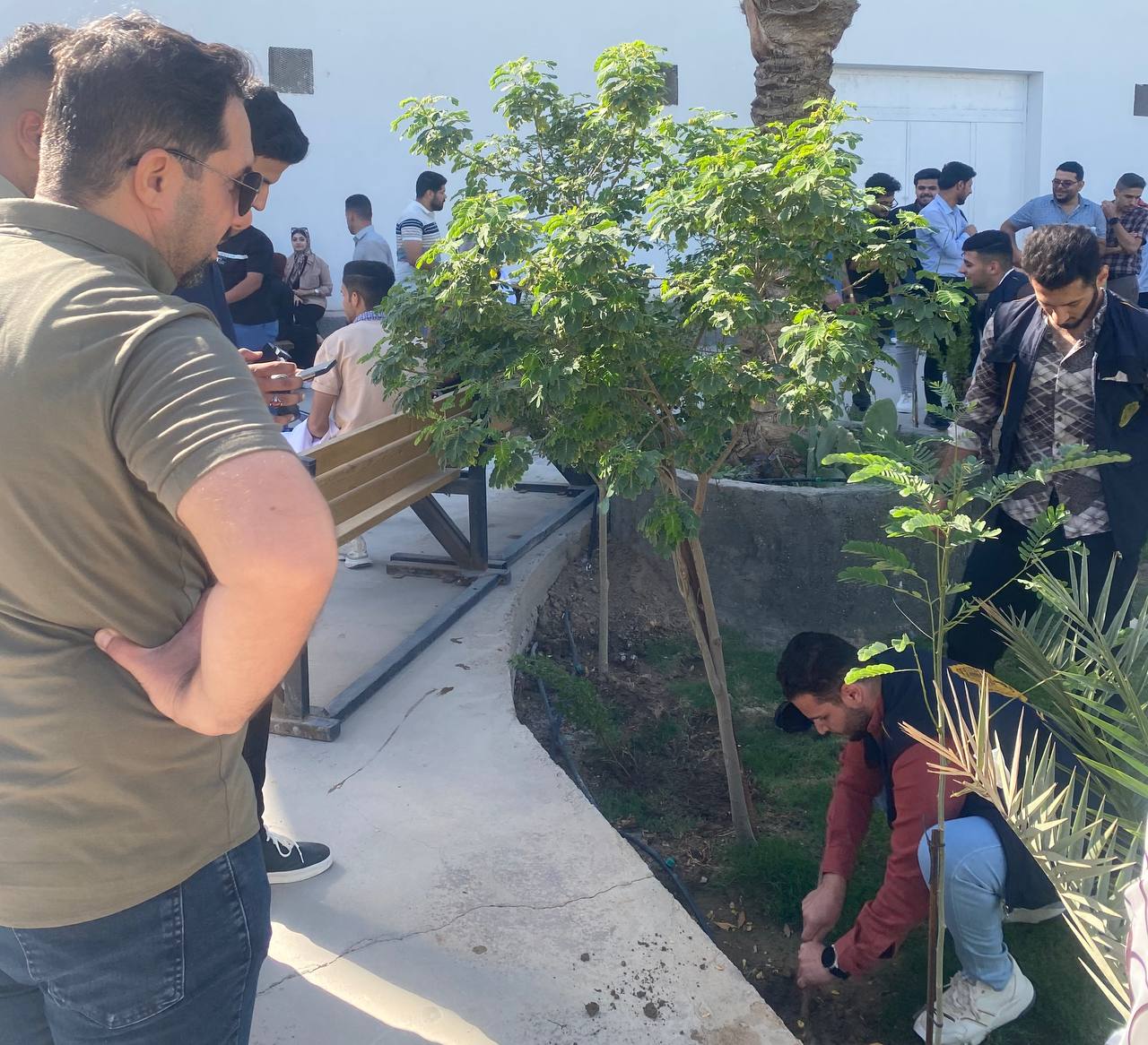 “حملة زراعية تطوعية لطلبة قسم هندسة الطب الحياتي “