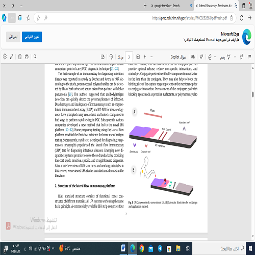 فحوصات التدفق الجانبي لتشخيص الفيروسات: أحدث التقنيات والآفاق المستقبلية