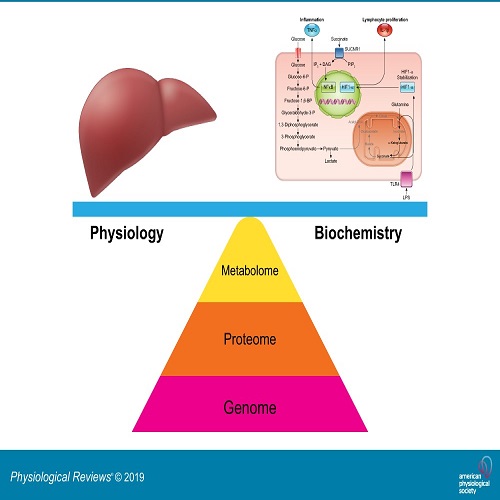 Importance of Metabolomics Technology in Advanced Physiology