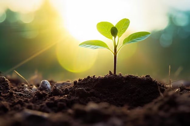 مقالة علمية للانسة نور الهدى عزمي بعنوان " عملية التمثيل الضوئي "