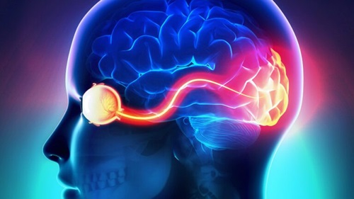 مقالة علمية للتدريسية م.م صفا عامر خليل بعنوان (التهاب العصب البصري)