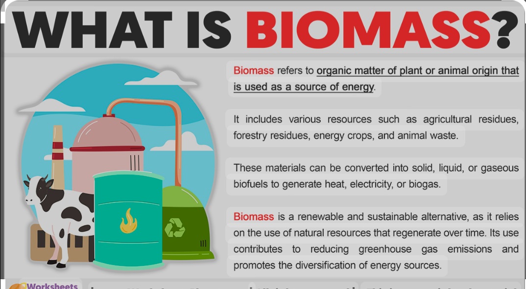 Biomass as a Source of Renewable  Energy 