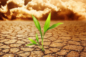 إدارة الموارد المائية في ظل التغيرات المناخية