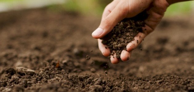 التربة: مكوناتها وأهميتها في البيئة والتنمية