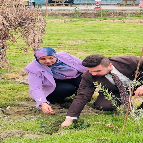 Planting plants around the university