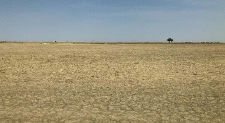مقالة علمية للانسة نور الهدى عزمي بعنوان "التصحر الحضري  "