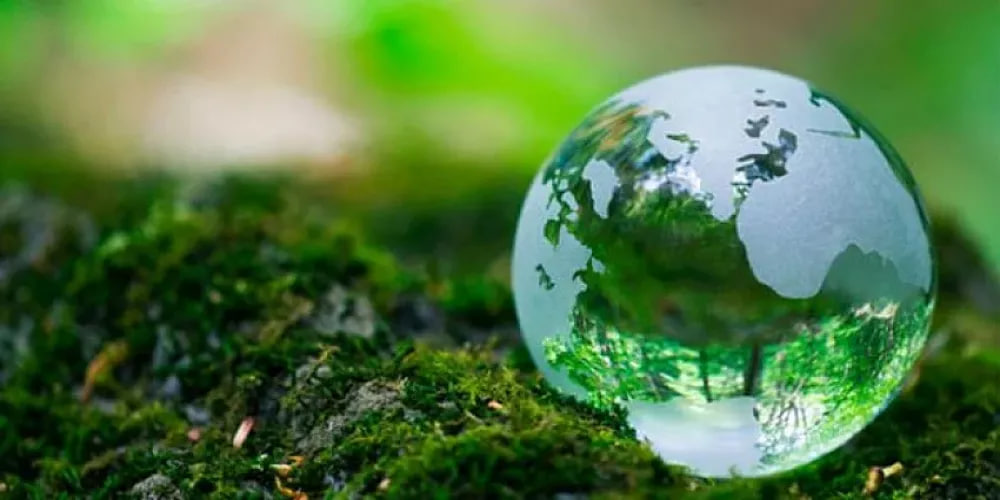 مقالة علمية للانسة نور الهدى عزمي بعنوان "التربة والأنظمة البيئية الطبيعية: دورها في توازن البيئة "