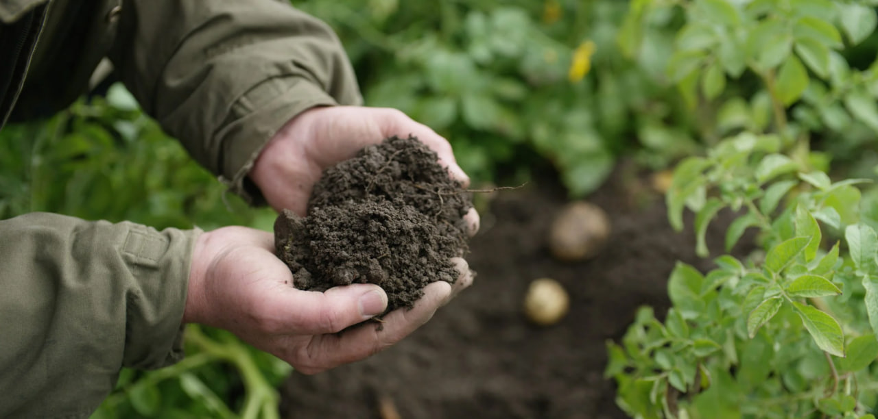 دور التربة في مواجهة التغير المناخي: الحلول المستدامة