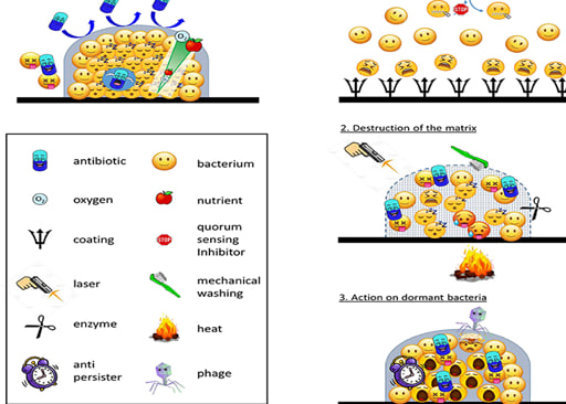 مقالة علمية للتدريسية (م.د. سارة كامل عبود) بعنوان ""الأغشية الحيوية البكتيرية""